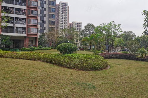 中惠松湖城深度解析 樓盤優(yōu)勢(shì)、不足與周邊中介評(píng)價(jià)指南