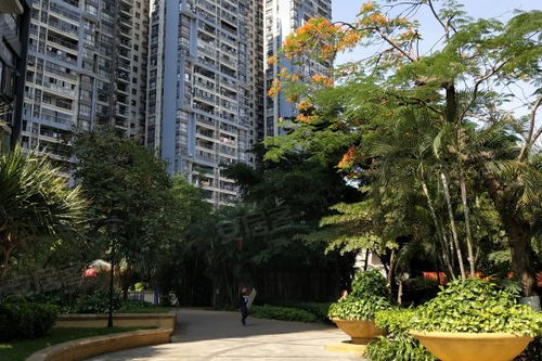 中惠新城居住體驗(yàn)及周邊中介評(píng)價(jià)分析